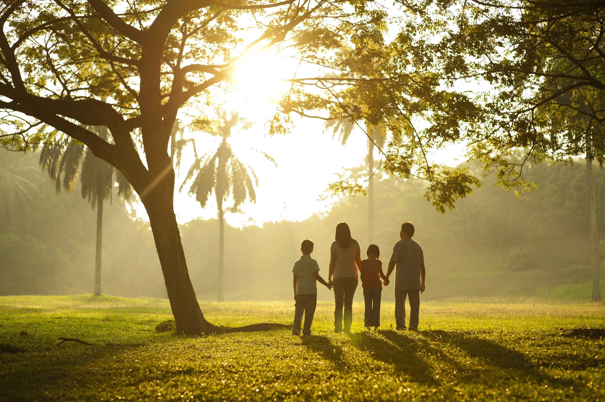 probate attorney central Texas