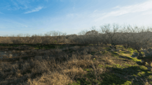 Ringtail Ridge Natural Area San Marcos TX