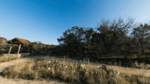 Spring Lake Natural Area San Marcos TX